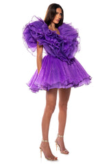 EVER AFTER RUFFLE SLEEVE PLEATED A LINE MINI DRESS